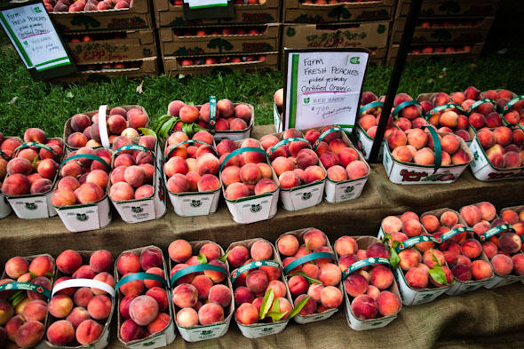 Park Farmer's Market
