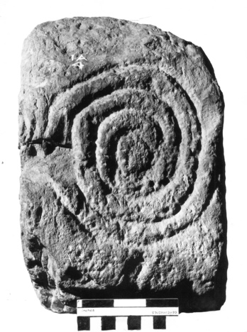 Concentric rings two