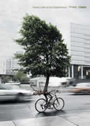 A tree riding a bicycle down one of the streets of a great mega polis
