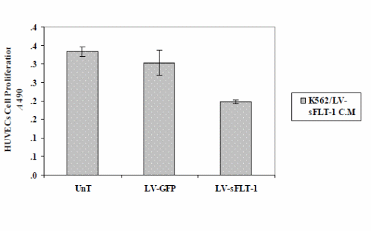Cell proliferation assay