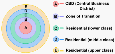 Burgess’ Concentric Zone Model