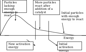 A catalyst present in a chemical reaction