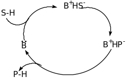 Brønsted bases catalysis Brønsted acid catalysis