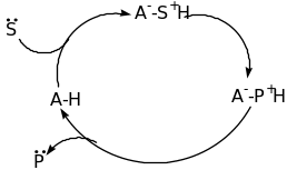 Brønsted bases catalysis Brønsted acid catalysis