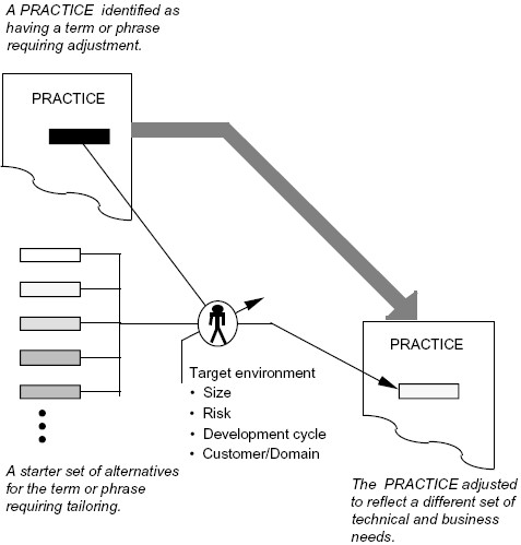 Small Organizations Project Requirement Tailoring [3]