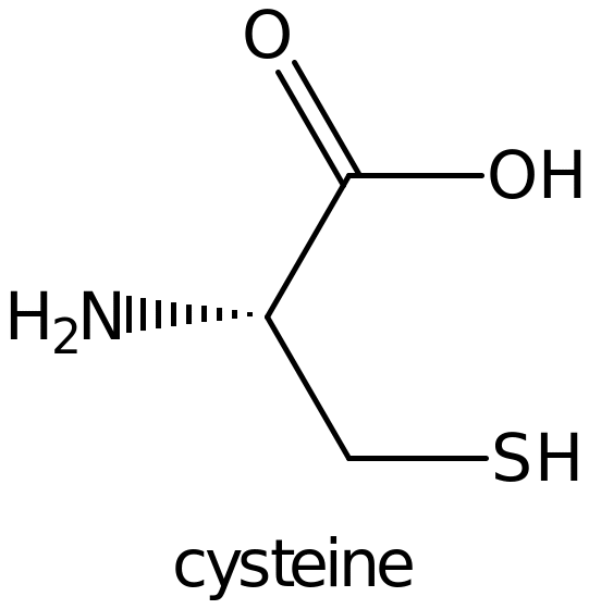 Cysteine