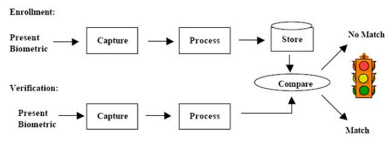 Types of Biometric
