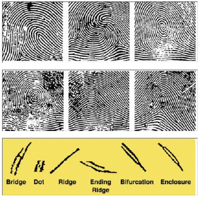 Contrasting Methods of Authentication