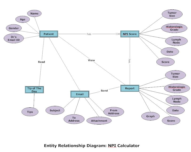 Entity relationship Diagram: NPI Calculator