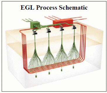 EGL Process schematic