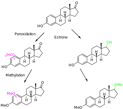 Methylation