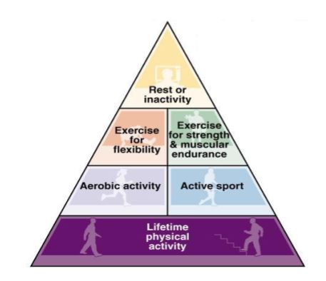 The structure of physical activity