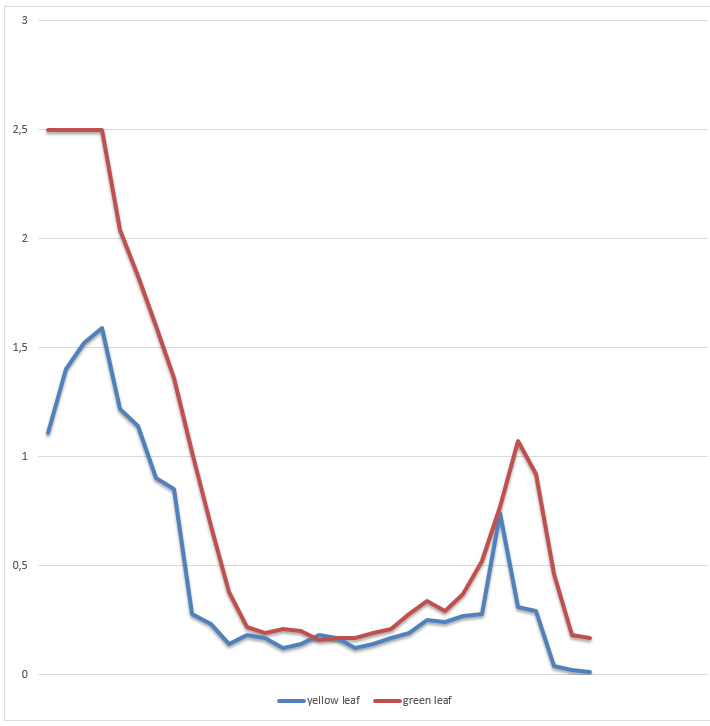 Debate on Colored Pigments in Green Leaves
