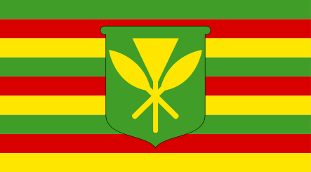 Flag