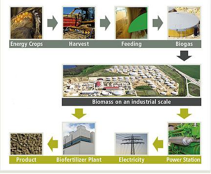 The whole process and cycle of Bioenergy production can be understood with the help