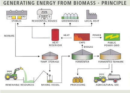 The principles used for producing Bioenergy can also be represented in a pictorial form