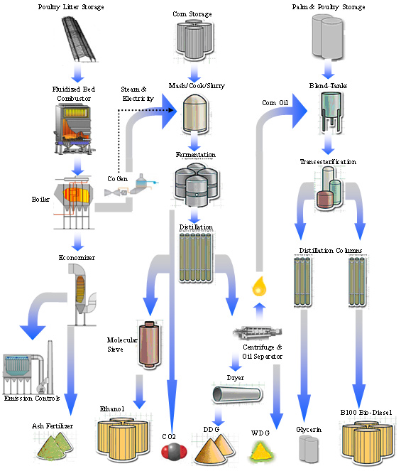 The business model of Bioenergy in an organization or business