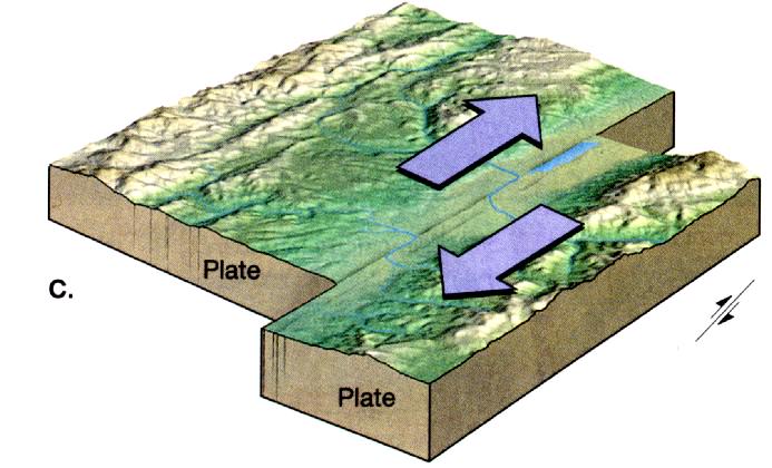 The effect of Earthquakes on buildings