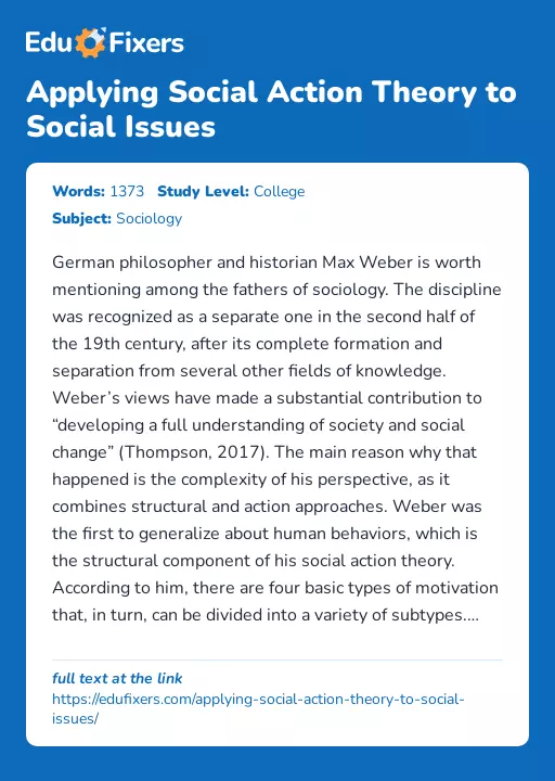 Applying Social Action Theory to Social Issues - Essay Preview