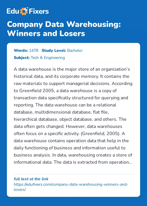 Company Data Warehousing: Winners and Losers - Essay Preview