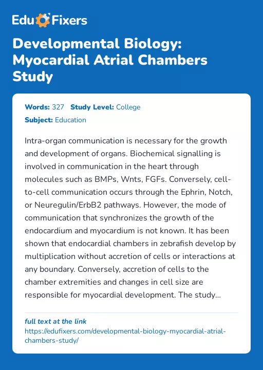 Developmental Biology: Myocardial Atrial Chambers Study - Essay Preview