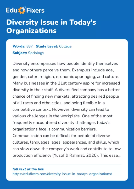 Diversity Issue in Today’s Organizations - Essay Preview