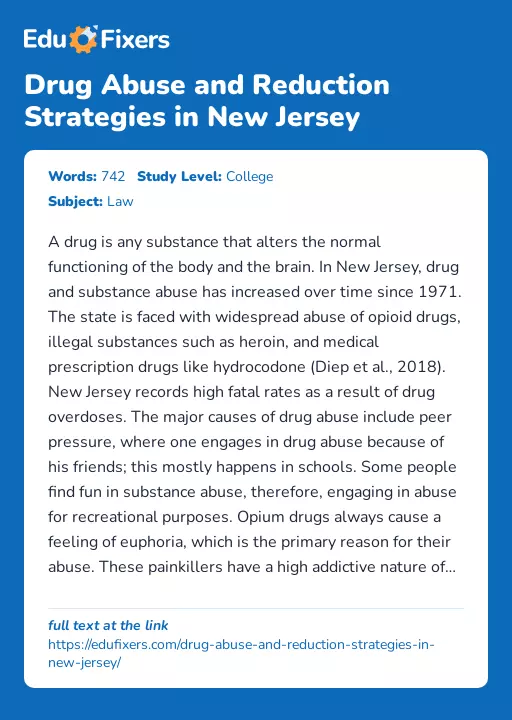 Drug Abuse and Reduction Strategies in New Jersey - Essay Preview