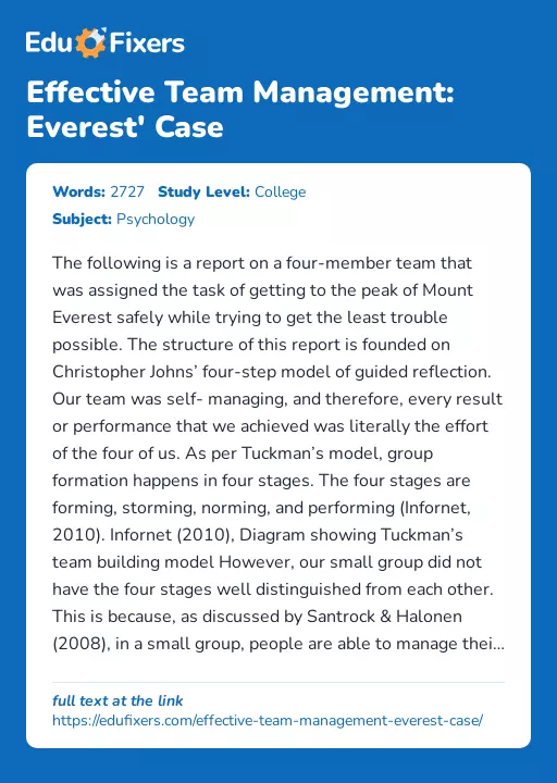 Effective Team Management: Everest' Case - Essay Preview