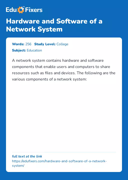 Hardware and Software of a Network System - Essay Preview