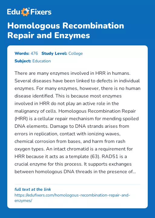 Homologous Recombination Repair and Enzymes - Essay Preview