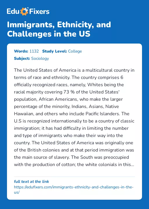 Immigrants, Ethnicity, and Challenges in the US - Essay Preview