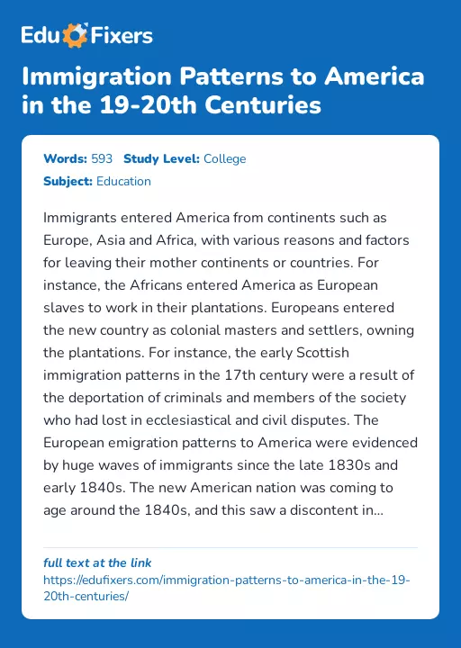 Immigration Patterns to America in the 19-20th Centuries - Essay Preview