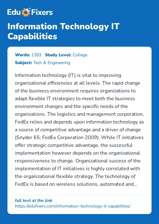 Information Technology IT Capabilities - Essay Preview