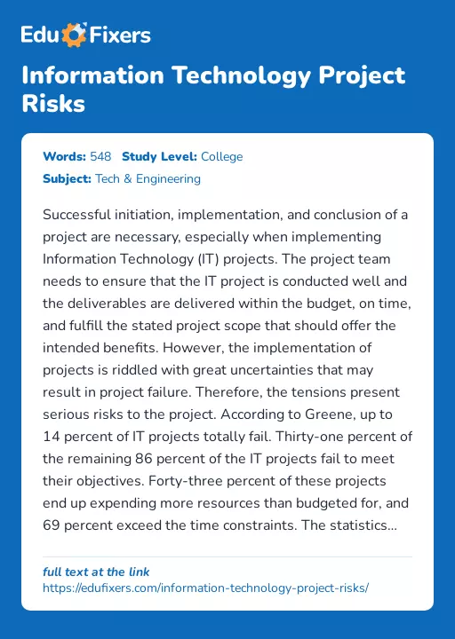 Information Technology Project Risks - Essay Preview