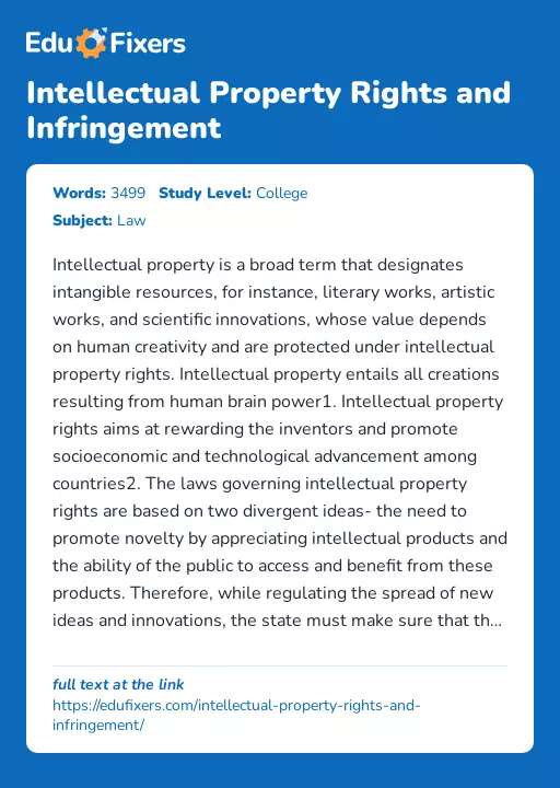 Intellectual Property Rights and Infringement - Essay Preview