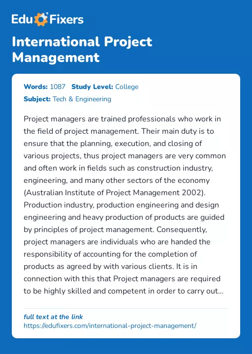 International Project Management - Essay Preview