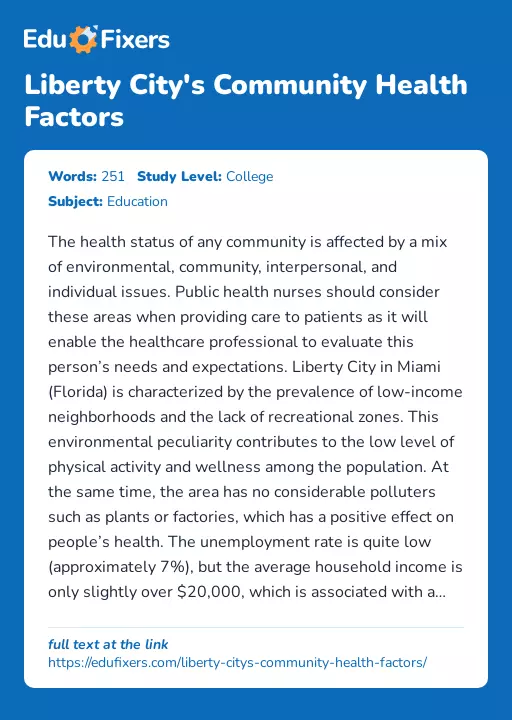 Liberty City's Community Health Factors - Essay Preview
