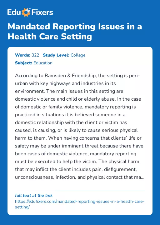 Mandated Reporting Issues in a Health Care Setting - Essay Preview