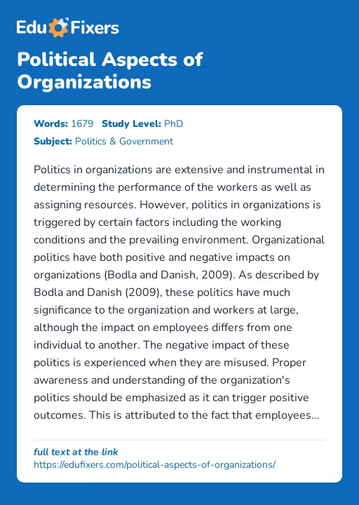 Political Aspects of Organizations - Essay Preview