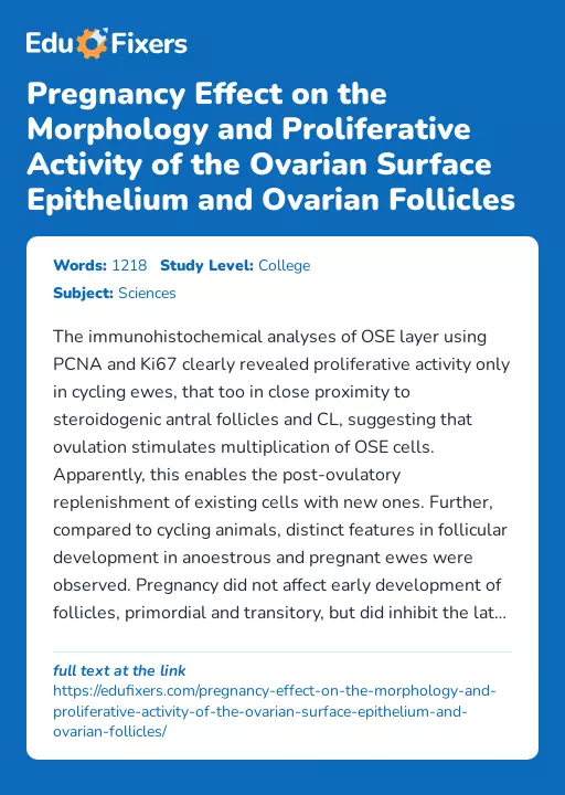 Pregnancy Effect on the Morphology and Proliferative Activity of the Ovarian Surface Epithelium and Ovarian Follicles - Essay Preview