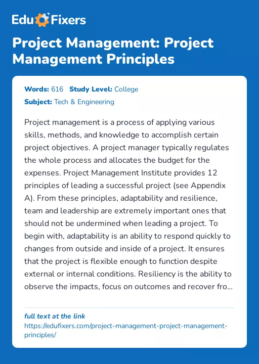 Project Management: Project Management Principles - Essay Preview