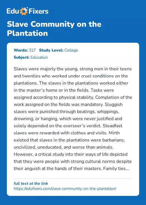 Slave Community on the Plantation - Essay Preview
