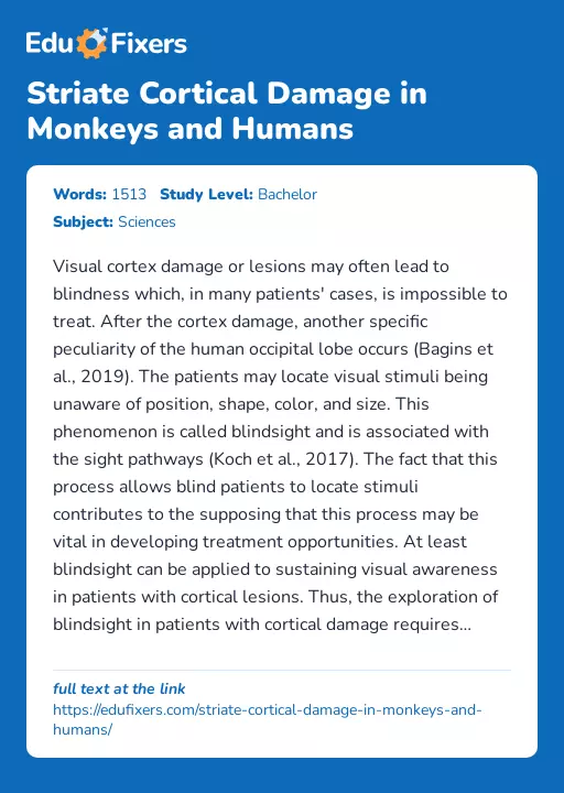 Striate Cortical Damage in Monkeys and Humans - Essay Preview