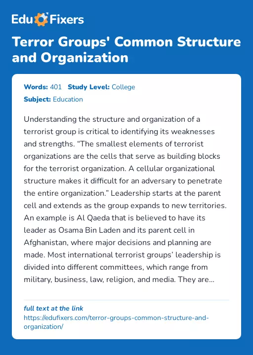 Terror Groups' Common Structure and Organization - Essay Preview