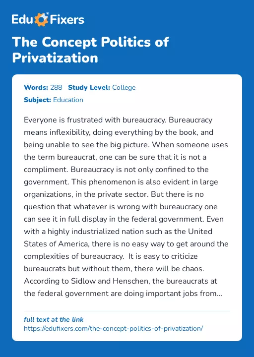 The Concept Politics of Privatization - Essay Preview