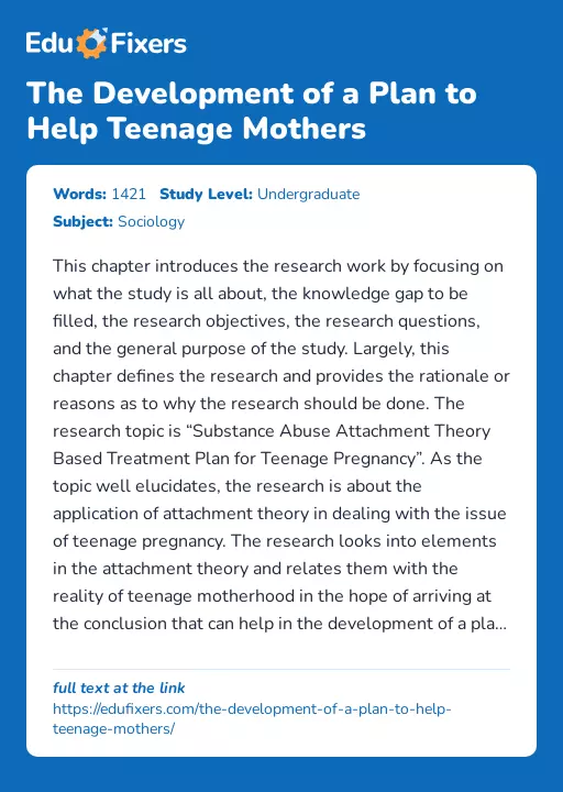 The Development of a Plan to Help Teenage Mothers - Essay Preview
