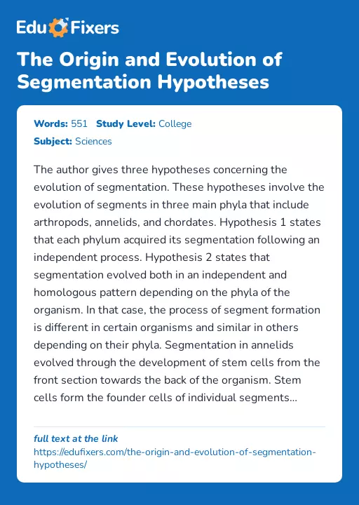 The Origin and Evolution of Segmentation Hypotheses - Essay Preview